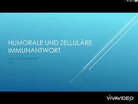 Die humorale und die zelluläre Immunantwort (2021)