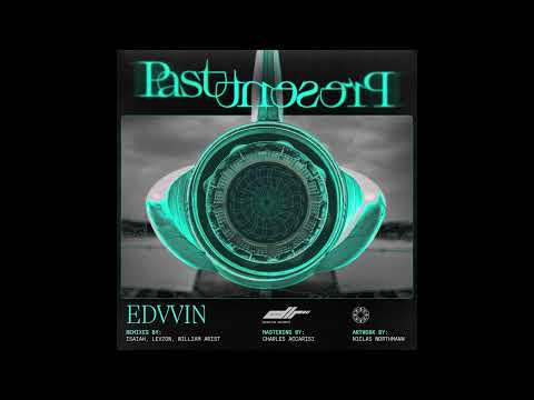 Edvvin - Do The Damn Thing (William Arist Remix) [DLR03]