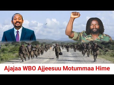 ODUU Ammee Ajajaan WBO Ajjeefamuu RIB beksise | Moha Oromo 