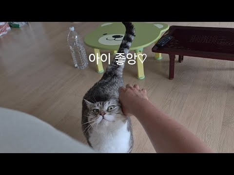 여름에도 껌딱지