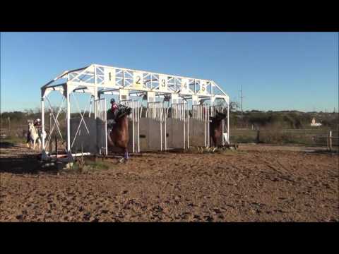 1 C  3 Areyanos  el centenario y C  San Marcos   el mono