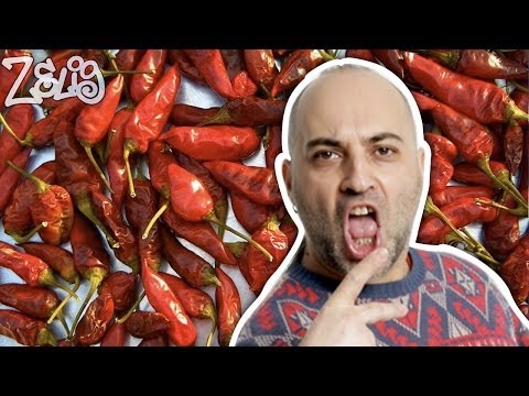 Kalabrugovic - L'arrivo in Calabria | Zelig