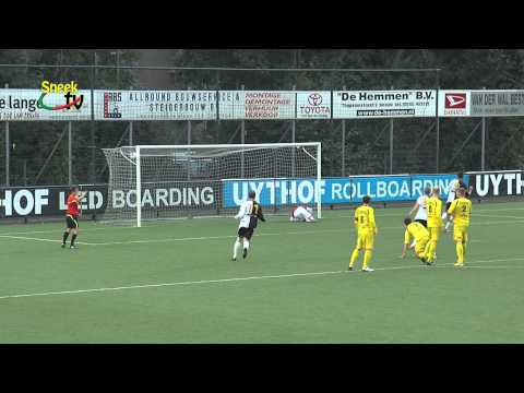 Samenvatting SWZ Boso   Alcides