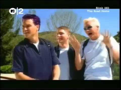 blink-182 / MTV The Road Home 2000