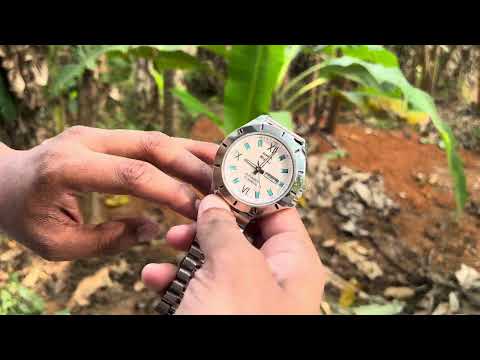 1X HMT STELLAR DASL 02 WHITE  29/01/2026 #hmt #watch #automatic #Indian 