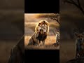 Wolfs Attack On Lion Artificialintelligence Animals Lion Lions Aiart