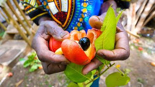 Rastafari Village Food 🇯🇲 100% ITAL FOOD + Jamaican Herb Tour 🌿 with Rasta I-Win! - YouTube