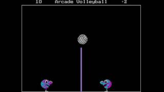 Arcade Volleyball for DOS
