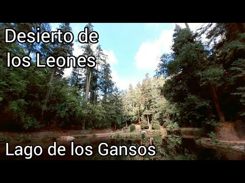 El Desierto de los Leones //LAGO DE LOS GANSOS//(visita virtual)