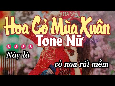 Karaoke Hoa Cỏ Mùa Xuân Tone Nữ - Nhạc Xuân 2024