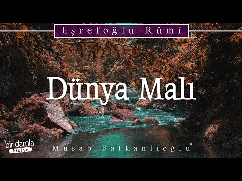 DÜNYA MALI Merdivene Benzer.. Kuyuya İnmek de Köşklere Çıkmak da Senin Elinde!.. | Müzekki'n Nüfûs