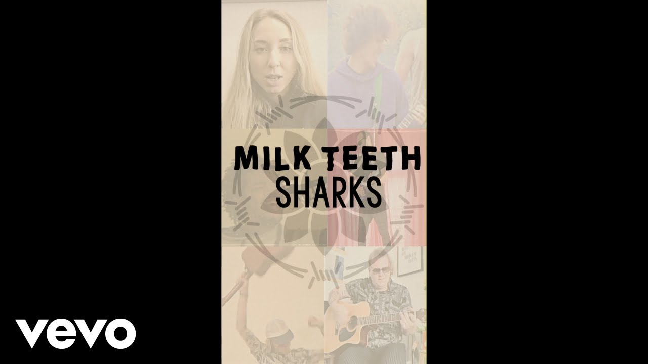 Milk Teeth - Sharks (Fan Lockdown Video) - YouTube