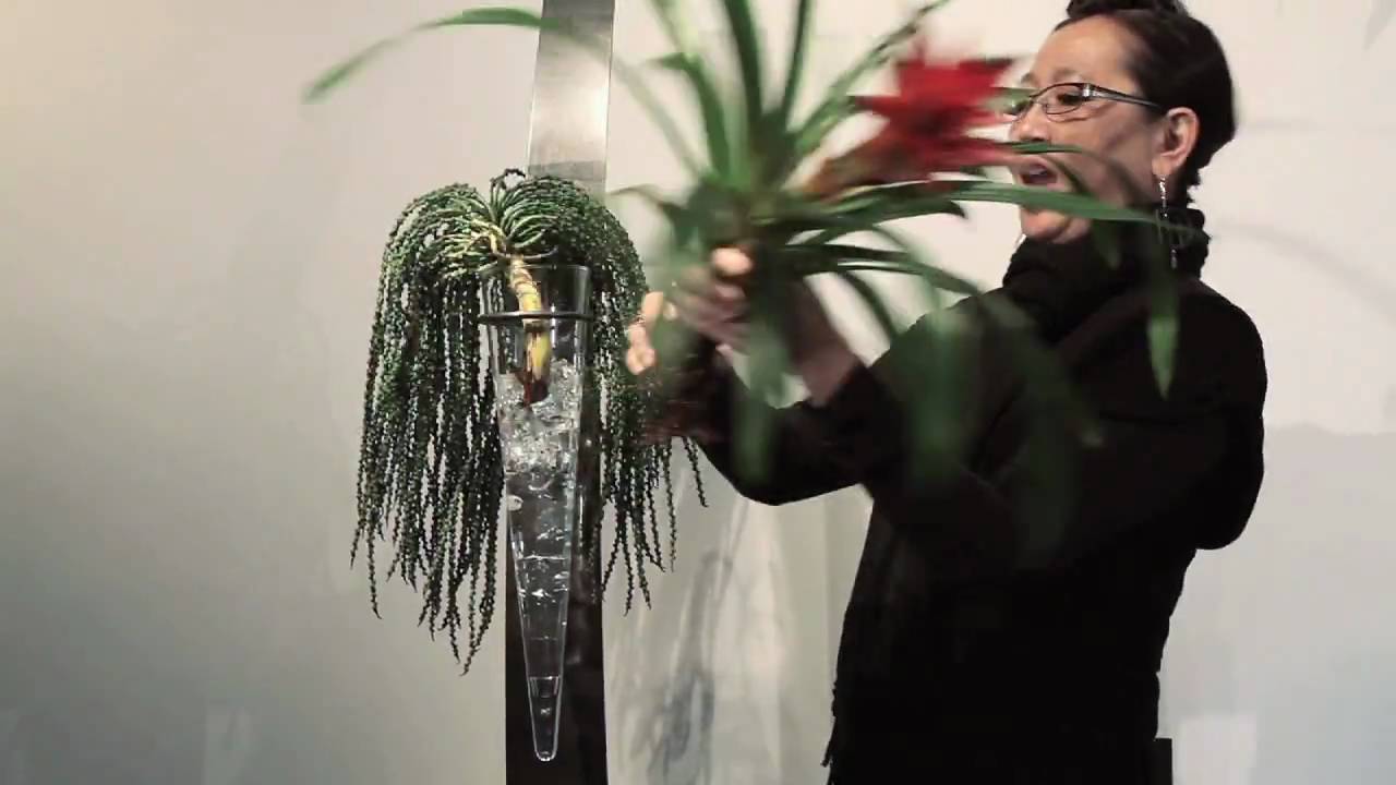 Accent Decor T2: Contour and Cubes