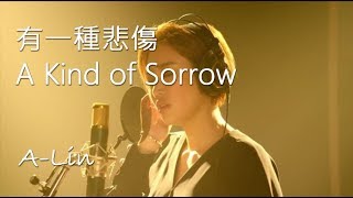 A-Lin - 有一种悲伤 A Kind of Sorrow【Pinyin Lyrics 拼音歌词】