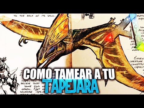 COMO TAMEAR A TU TAPEJARA | | Guia Español | Ark: Survival Evolved
