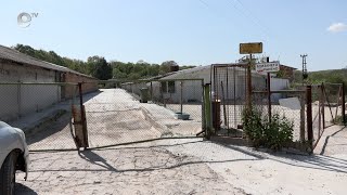 Откриха огнище на птичи грип в Хасково, изтеглят от пазара яйца