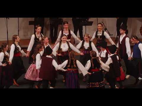 Srečanje folklornih, pevskih in godčevskih skupin manjšinskih etničnih skupnosti in manjšin