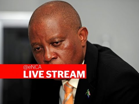 Herman Mashaba reveals major findings in the Lily mine case