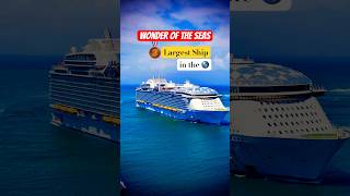Wonder Of The Seas | Third Largest Ship 🌎 #cruiseship #cruise #vacation #shorts #short #fun #viral
