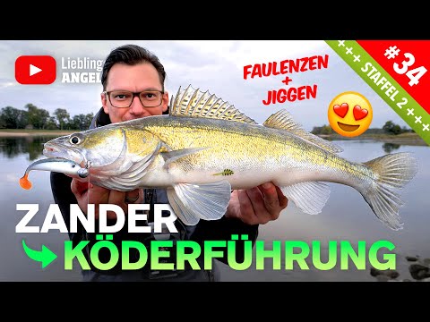 Köderführung zum Zanderangeln mit Gummifisch 🔥🎣👍🏼