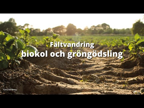 Fältvandring biokol och gröngödsling