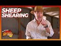 Russell Coight Teaches You Sheep Shearing All Aussie Adventures