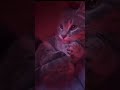 Grey Cat Biting And Licking Tail Stops And Stares