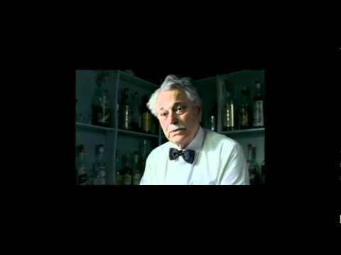 La meglio gioventù - Best scenes Teil 1