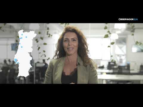 mobilidade elétrica | renault eco plan