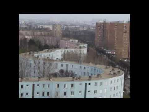 courti nostra freestyle