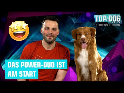 Raphael und Taru im Parcours 😍🐶 | Top Dog Germany 2022