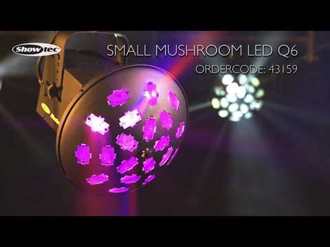 Showtec Small Mushroom LED Q6