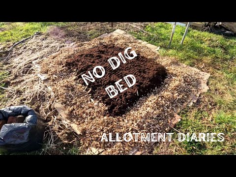 Allotment Diaries: first No Dig bed