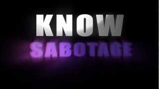 Sabotage - Wale Ft. Lloyd Lyrics
