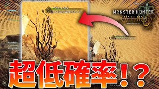 【モンハンワイルズ検証】超低確率！？冬竜夏草が何分で生えるのか検証してみた結果がヤバすぎたwww