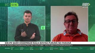 Miniatura do vídeo