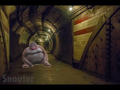 Uh oh, stinky horror