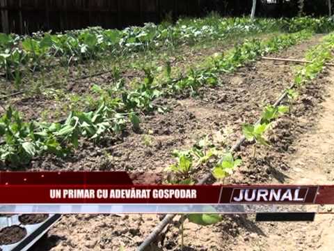 stire 13.05.2013 - primar recea sera