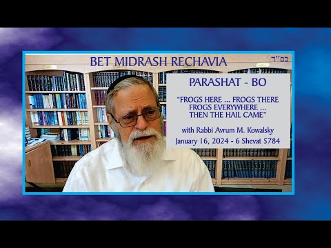 Bet Midrash Rehavia - Parashat Bo - Frogs Here... Frogs There, Frogs Everywhere...Then the Hail Came