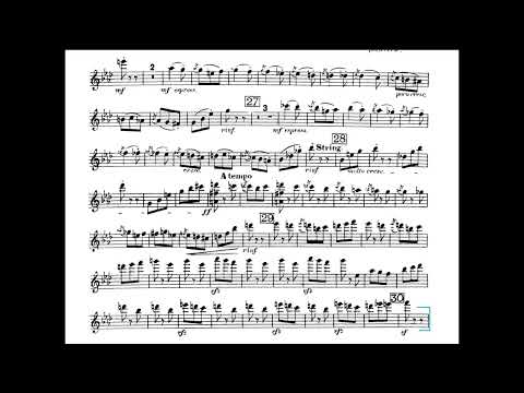 TMEA Violin Excerpts (Score) Listening Guide