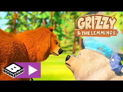 Grizzy en de Lemmings | Een ijsbeer in het bos? | Cartoonito