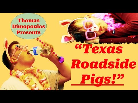 "Texas Roadside Pigs!" (2024 SHORT FILM)