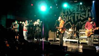 "241" by Reel Big Fish at Revolution 2011