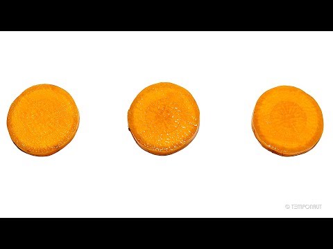 Carrot Timelapse