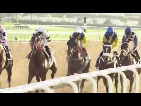Lani  UAE Derby 2016