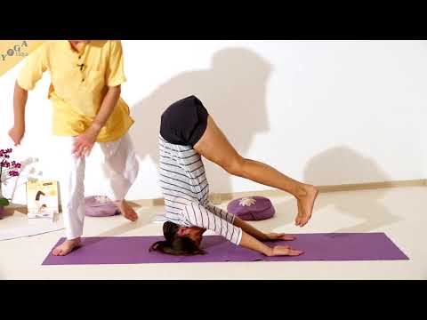 Kopfstand mit ausgestreckten Armen - Yoga Asana Lexikon