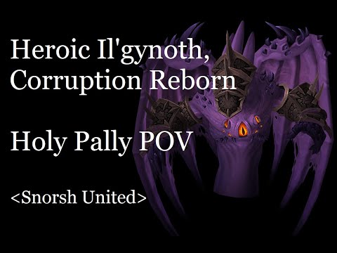 Holy Pally | Heroic Il'gynoth, Corruption Reborn | Ny'alotha | Snorsh United