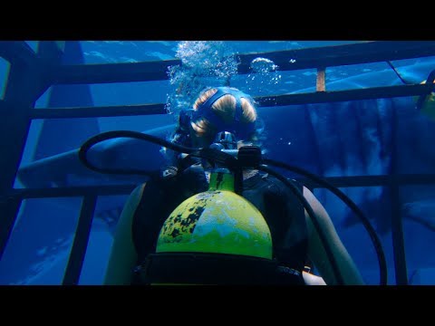 47 METRES DOWN TRAILER -  MANDY MOORE, CLAIRE HOLT, SHARKS!!!