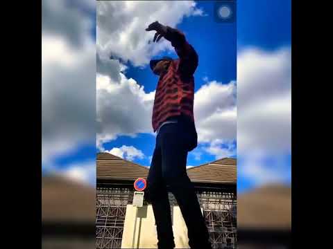 Larry Les Twins Freestyle To RileyVI Kaze ga Tsuyoku | LES TWINS