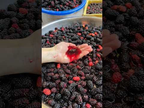 Refreshing mulberry juice for summer#shorts #food